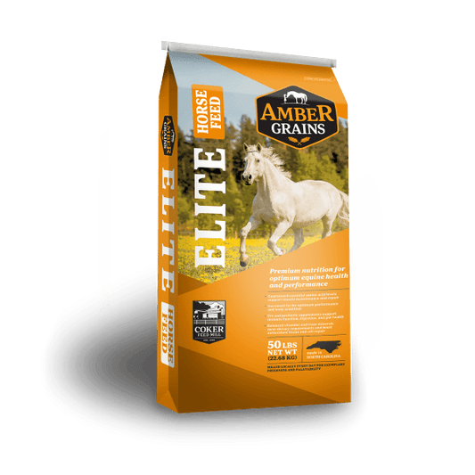 Amber Grains Mare and Foal