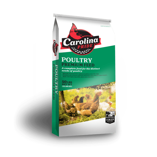 Carolina Pride Crazy 8 Chicken Scratch Grains