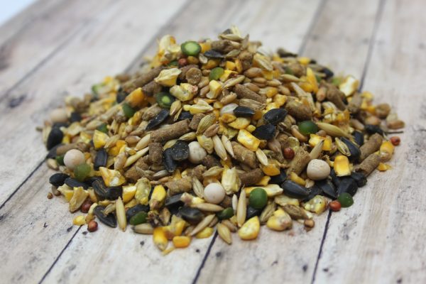 Carolina Pride Crazy 8 Chicken Scratch Grains