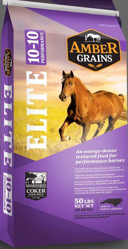 Equine Amber Elite 10-10