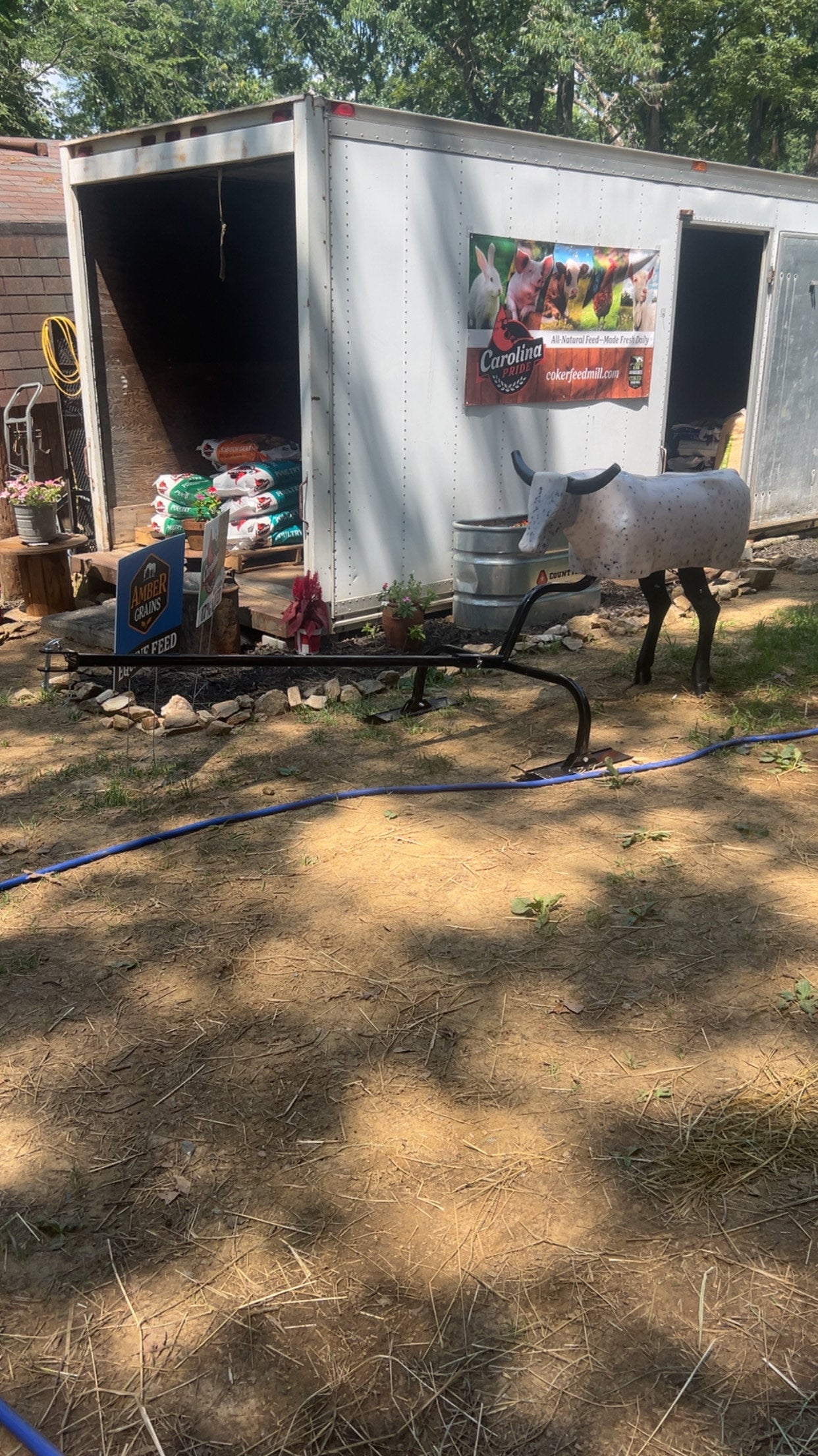 Roping dummy