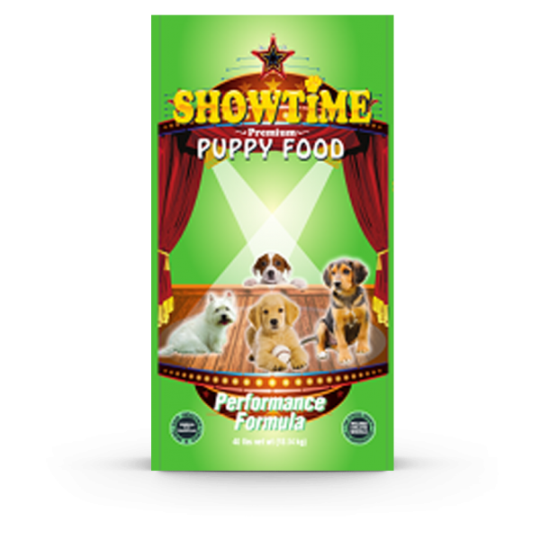Show Time Puppy