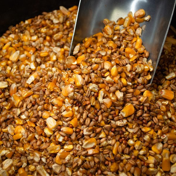 Carolina Pride Scratch Grains