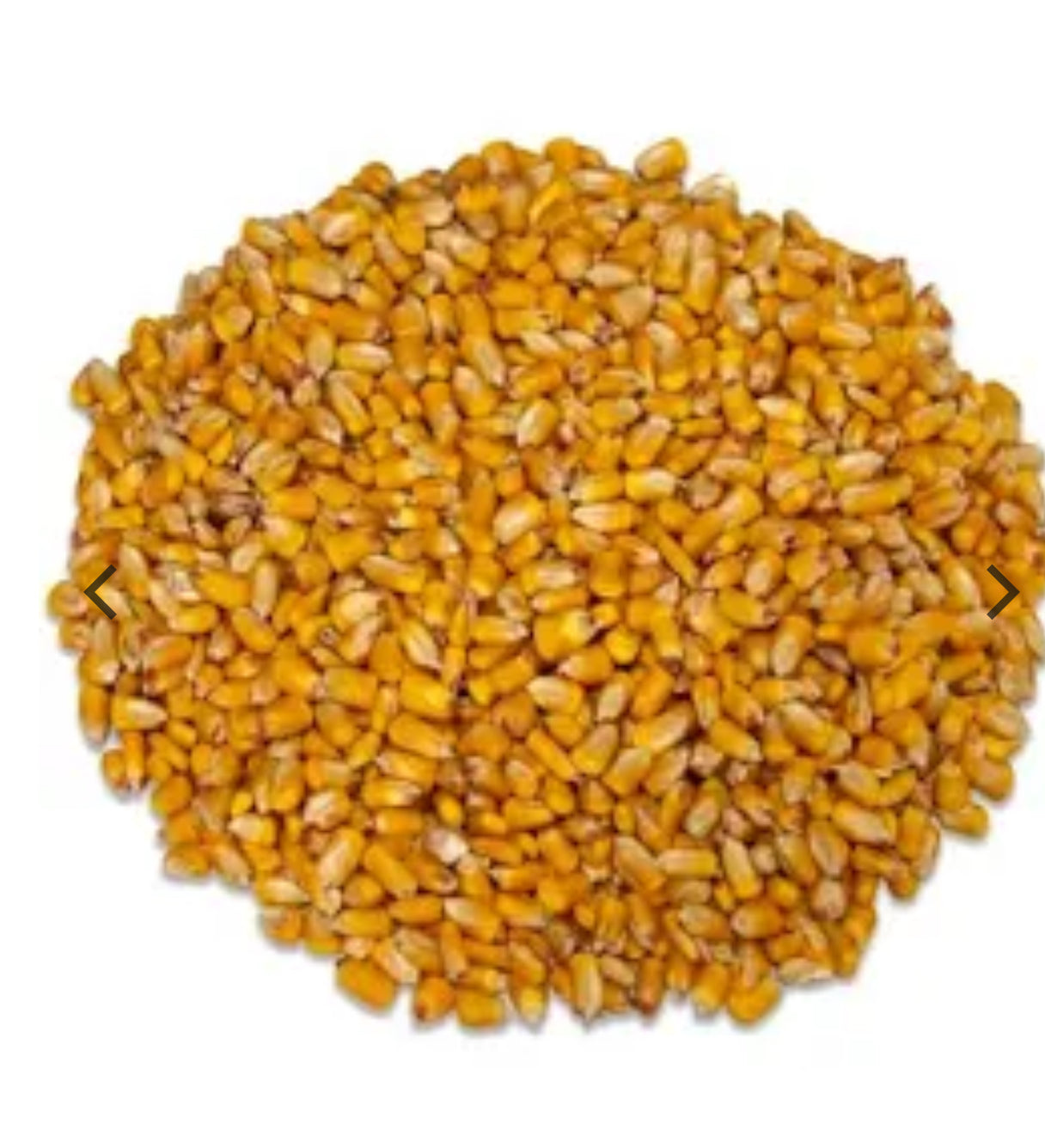 Whole Corn