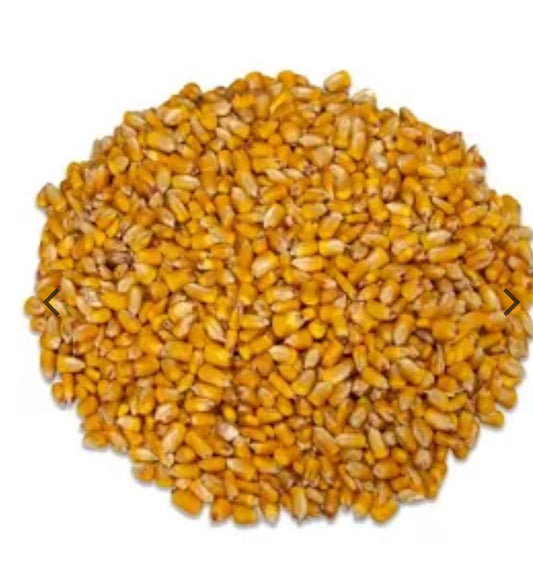 Whole Corn