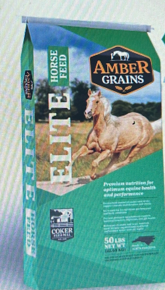 Equine Amber Elite 12-12 Performance