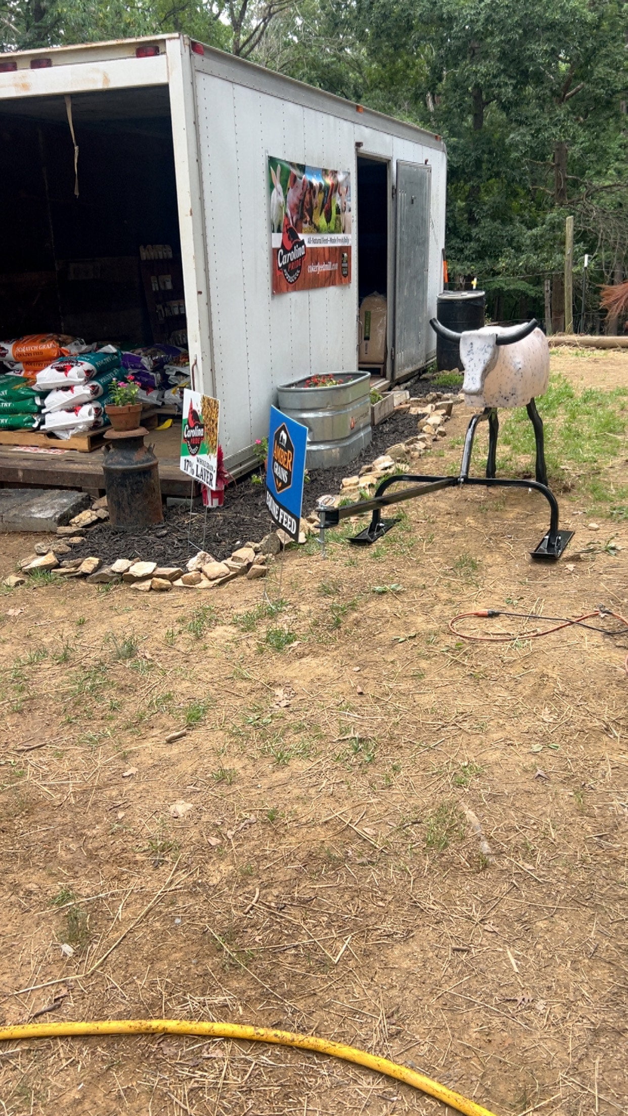 Roping dummy