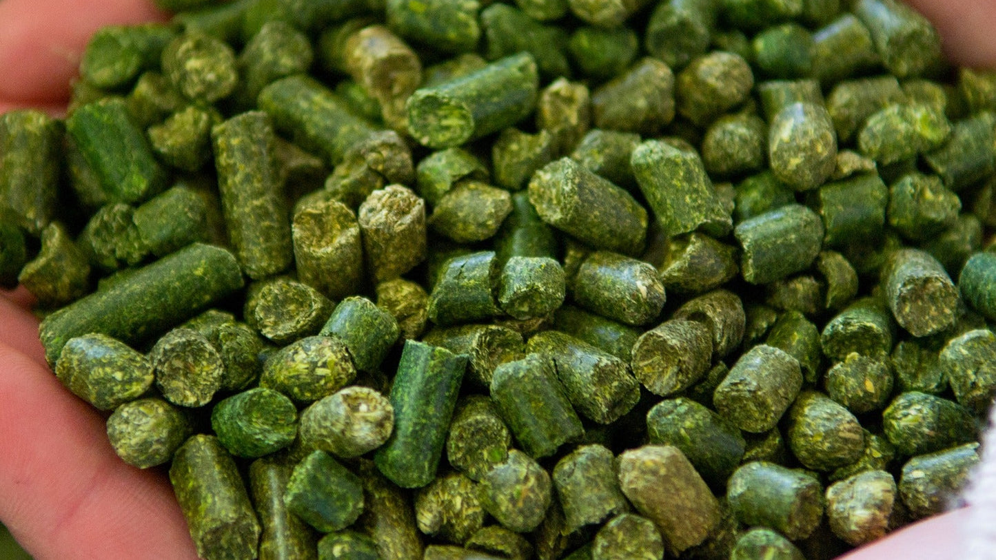 Alfalfa Pellets