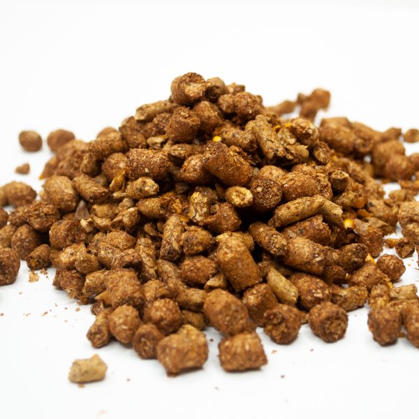 16 % Cattle Feed