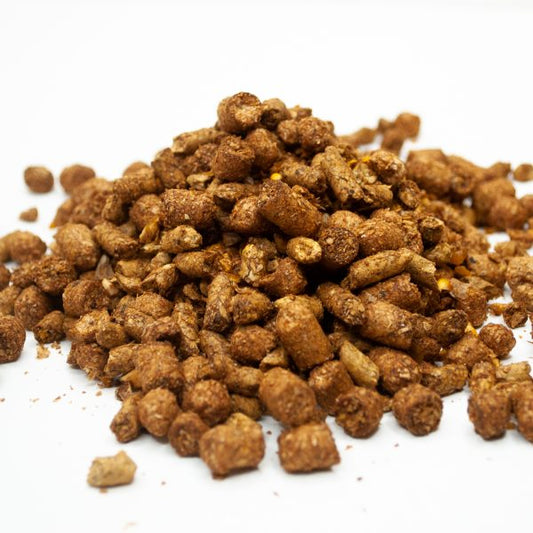 16 % Cattle Feed