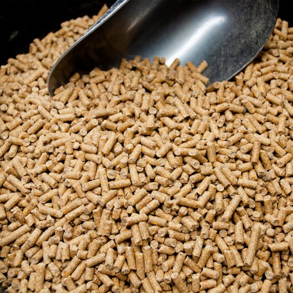 Carolina Pride 17% Layer Pellets
